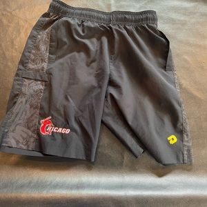 DeMarini Chicago Mudcats baseball shorts